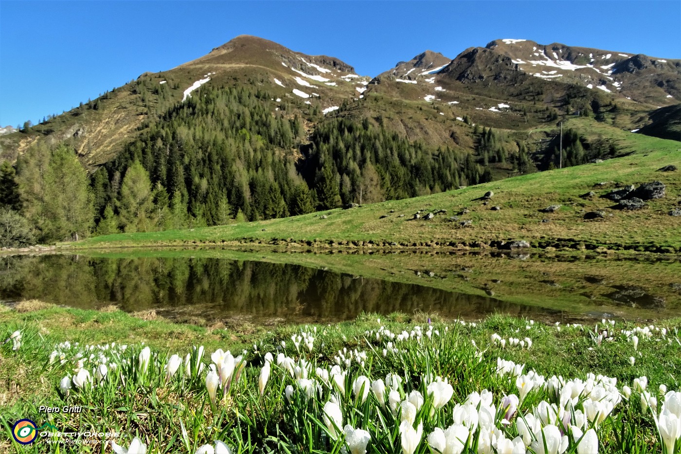 15 Crocus alla prima pozza con vista in Avaro, Tribortoi e Triomen.JPG